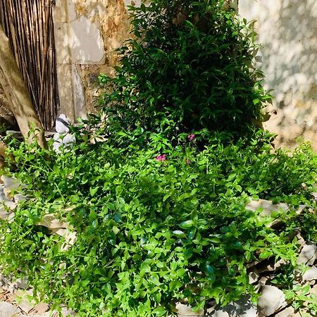 Appartement Avec Jardin Privatif Cazouls-lès-Béziers 외부 사진